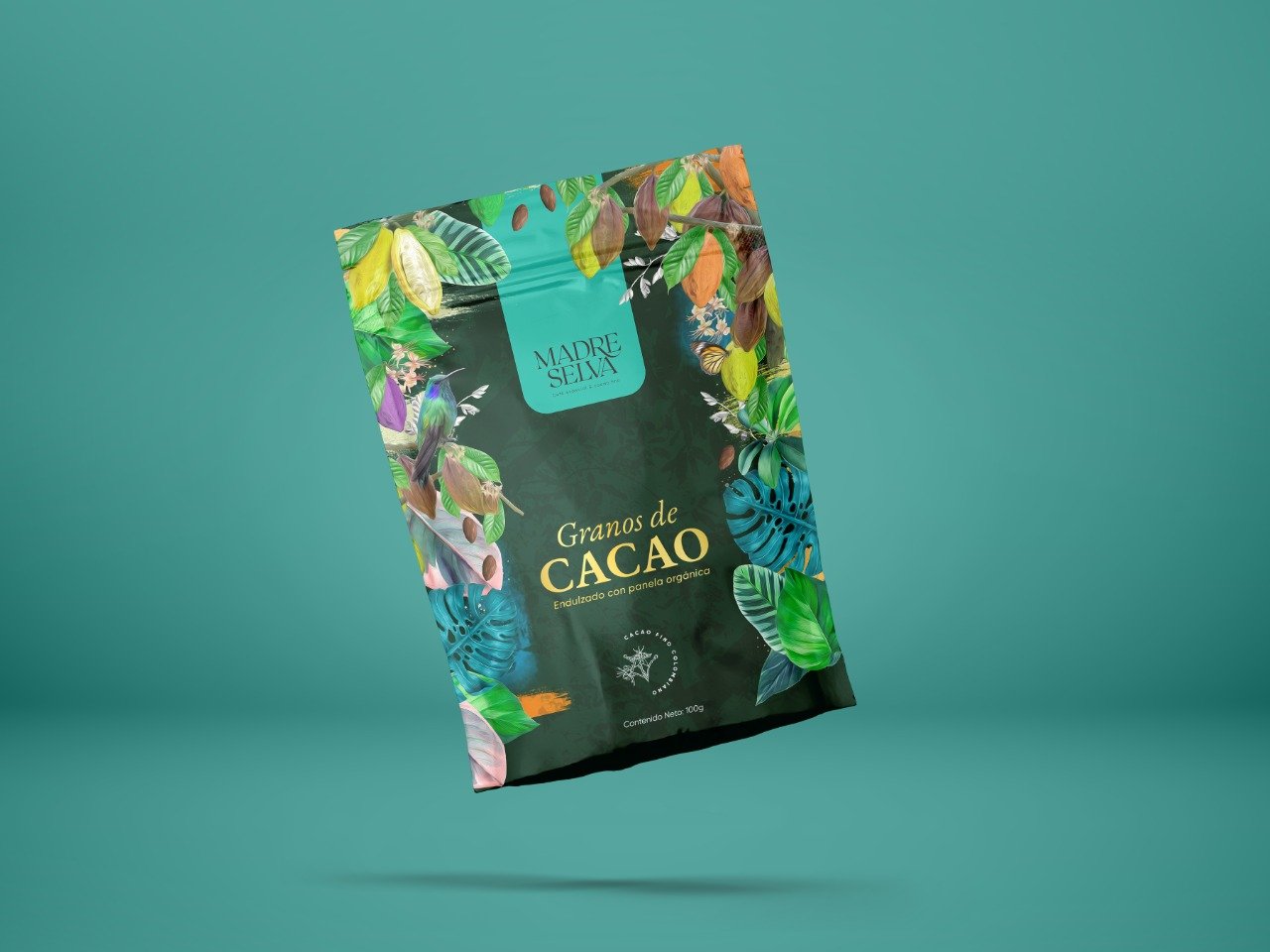 Cacao 6 Imagen de WhatsApp 2022 10 13 a las 16.42.33