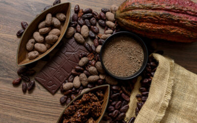 Regenerative Coffee Farming: Restoring the Origin to Produce Better Coffee