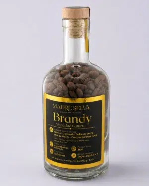 Brandy – Variedad Caturra